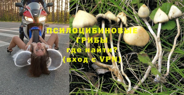 СК Краснотурьинск